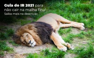 Guia Ir 2021 Para Nao Cair Na Malha Fina Saiba Mais Na Descricao Post 1 - Organização Contábil Lawini